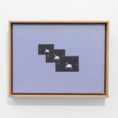 Mark King