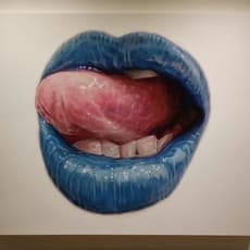 Elizabeth Winnel