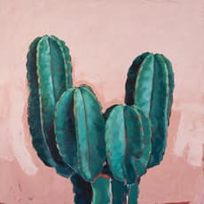 Evan Sahlman