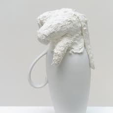 Qi Zhuo 齐倬