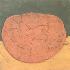 Federico Manuel Peralta Ramos