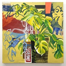 Jesse Wright