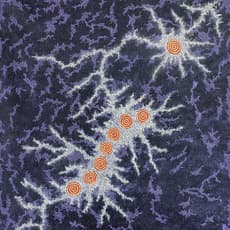 Gabriella Possum Nungurrayi