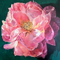 Susie McColgan