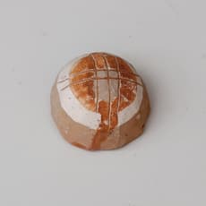 Eugenia Pop