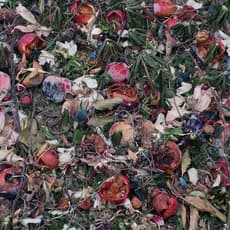 Tanya Marcuse