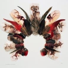 Rebecca Jewell