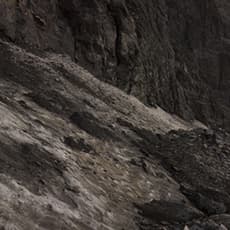 José Guerrero (b. 1979)