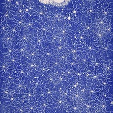 Justinna Sims NAPALJARRI