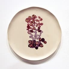 Enrico Ascoli Hilario Isola