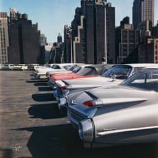Evelyn Hofer