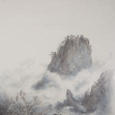 Zeng Xiaojun