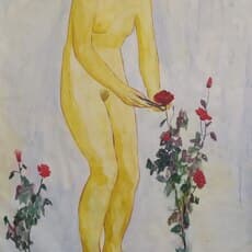 Kateryna Lysovenko