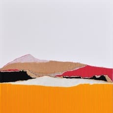 Edgar Knoop