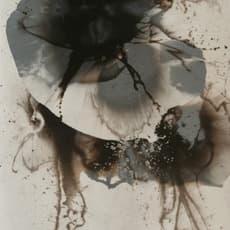 Arin Dwihartanto Sunaryo