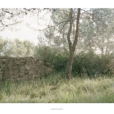 Bleda Y Rosa