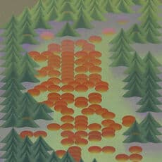Jinyong Park