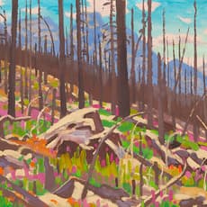 Illingworth Holey Kerr