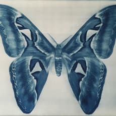 Thomas Hager