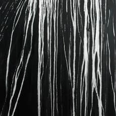 Haixin Ana Wang