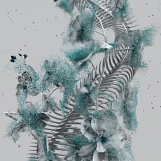 Hotaru Visual Guerrilla