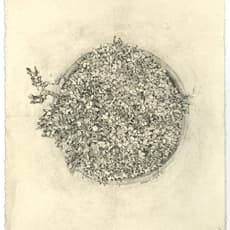 Nandini Bagla Chirimar