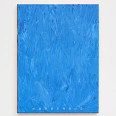 Davide Mancini Zanchi