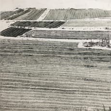 Ding Xiaozhen