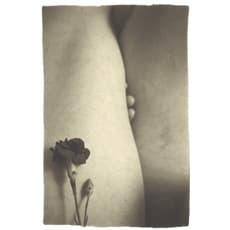 Jose-Miguel Ferreira