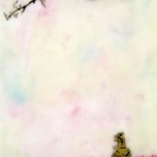 Cecile Chong
