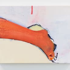 Chase Wilson