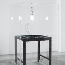 Florian Neufeldt