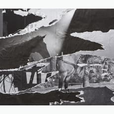 Mario García Torres