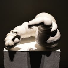 Nasim Hantehzadeh