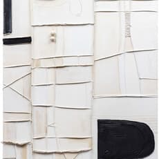 Nicole Anastas