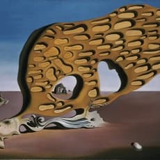 Salvador Dalí