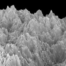 Jia Pengsen 贾鹏森