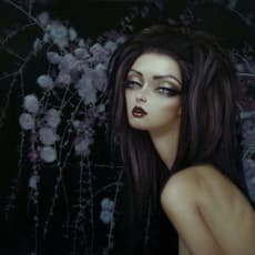 Lori Earley
