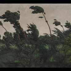 Félix Vallotton