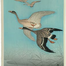 Ohara Koson