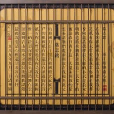 Yu Xinqiao