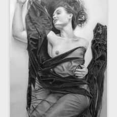 Tracy Frein