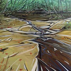 Shannon Craig Morphew