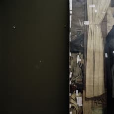 Friederike von Rauch