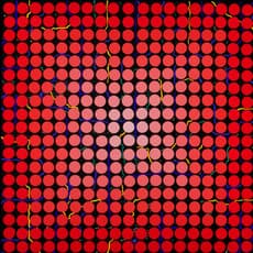 Carol Brown Goldberg