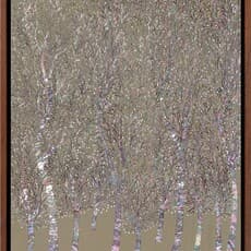 Miran PARK 박미란