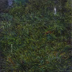 Takunori Nakata