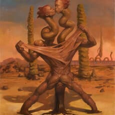 Ha Seungwan