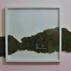 Mutlu Aksu