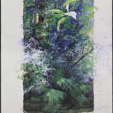 Joaquin Torrents Llado